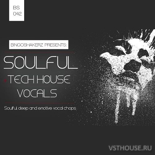 Bingoshakerz - Variavision Soulful And Tech House Vocal