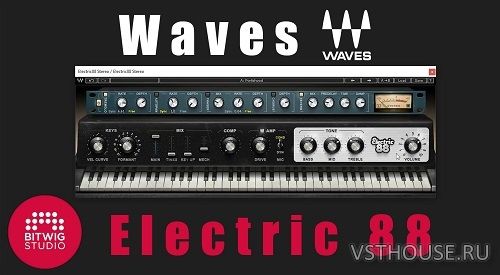 Waves - Electric 88 Library (Electric 88)