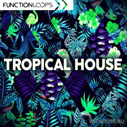 Function Loops - Tropical House