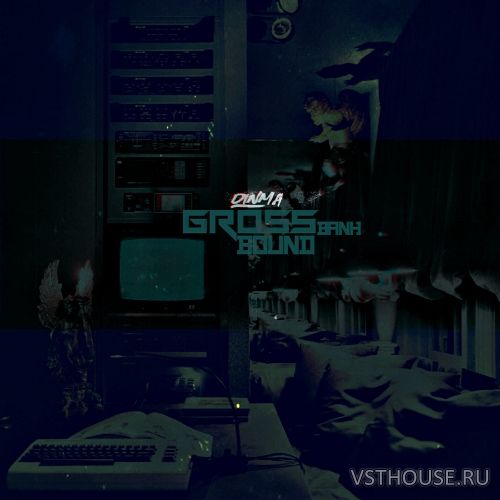Dinma - Bound (Gross Beat Presets Bank)
