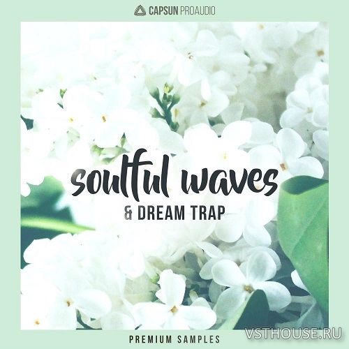 CAPSUN ProAudio - Soulful Waves & Dream Trap (WAV)