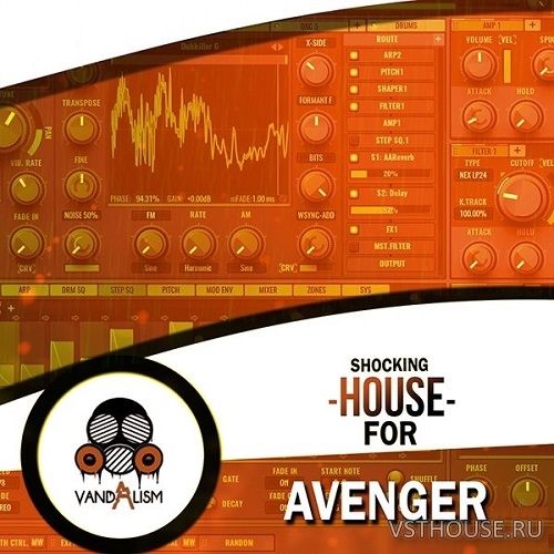 Vandalism Sounds - Shocking House For Avenger (AVENGER)