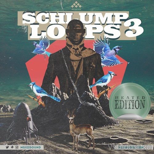 MSXII - Schlump Loops 3 (WAV)