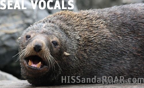 Hiss and a Roar - SD003 Seal vocals (WAV)