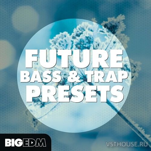 Big EDM - Future Bass & Trap Presets (SYNTH PRESET)