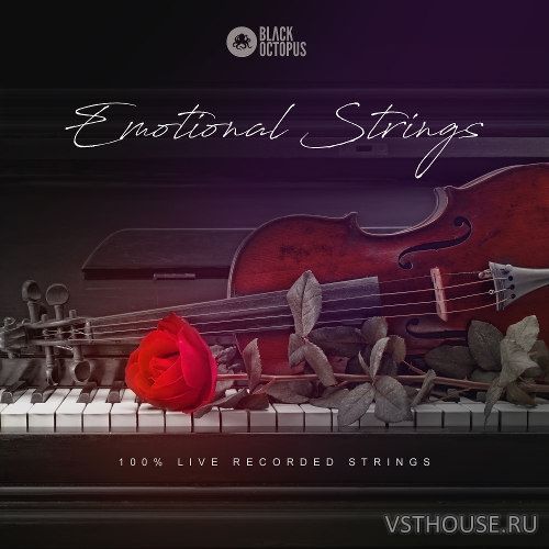 Black Octopus Sound - Emotional Strings (WAV)