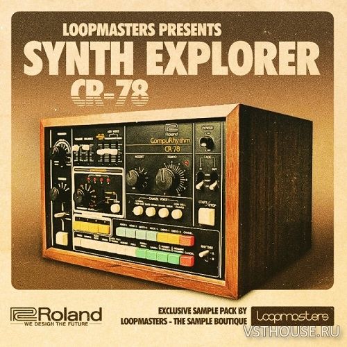 Loopmasters - Synth Explorer CR-78 (REX2, WAV, KONTAKT)
