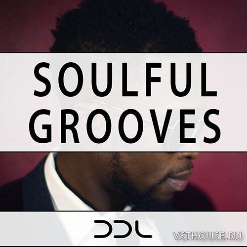 Deep Data Loops - Soulful Grooves (WAV, MIDI)