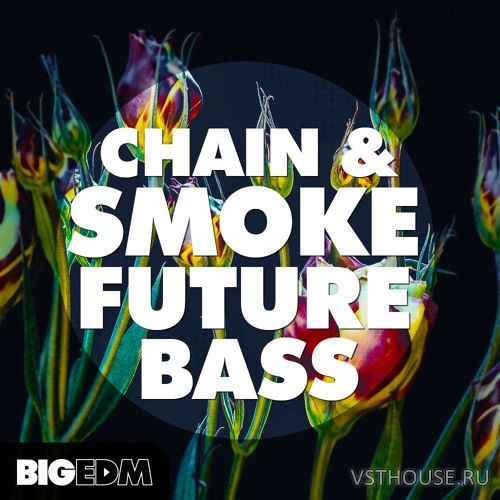 Big EDM - Chain And Smoke Future Bass (WAV, MIDI, SERUM)