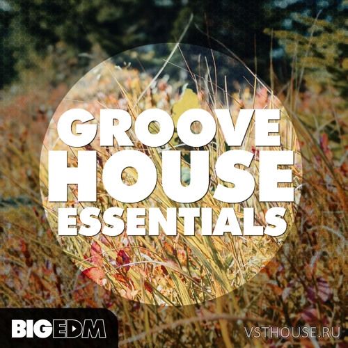 Big EDM - Groove House Essentials (WAV, MIDI, SYLENTH1, SPiRE)