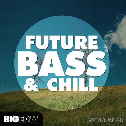 Big EDM - Future Bass And Chill (WAV, MIDI, SERUM, MASSiVE)