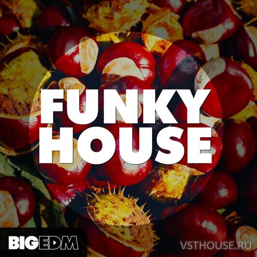 Big EDM - Funky House (WAV, MIDI, SPiRE)