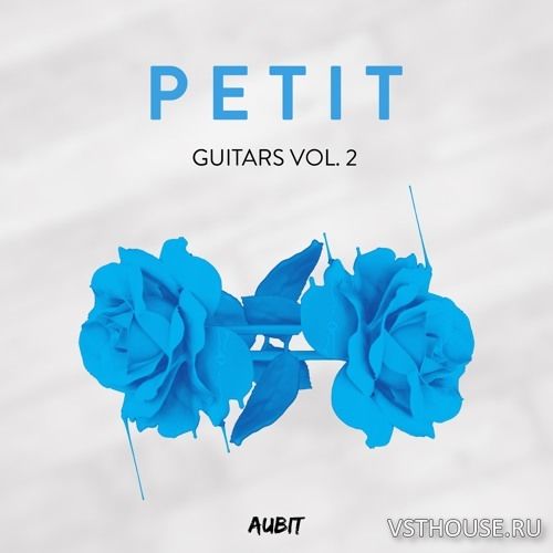 Aubit - Petit Guitars Vol.2 (WAV)