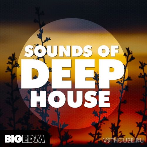 Big EDM - Sounds Of Deep House (WAV, MIDI, SYLENTH1, SPiRE, MASSiVE)