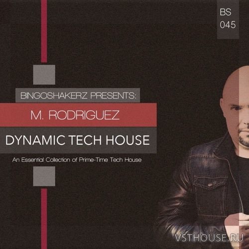 Bingoshakerz - M Rodriguez Dynamic Tech House (WAV)
