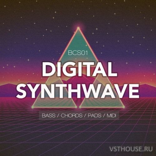Bingoshakerz - Compact Series Digital Synthwave (WAV, MIDI)
