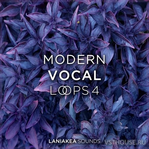 Laniakea Sounds - Modern Vocal Loops 4 (WAV)