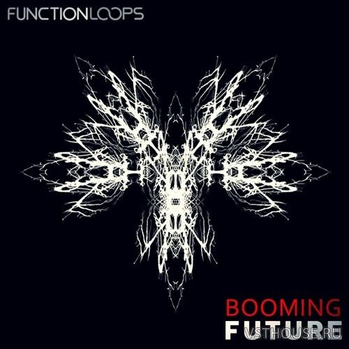 Function Loops - Booming Future (WAV, MIDI)