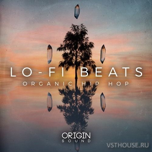 Origin Sound - Lo Fi Beats Organic Hip Hop (WAV, MIDI)