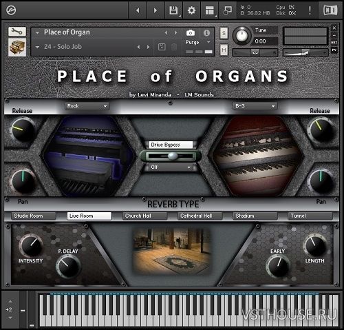 LM Sounds - Place Of Organs (KONTAKT)