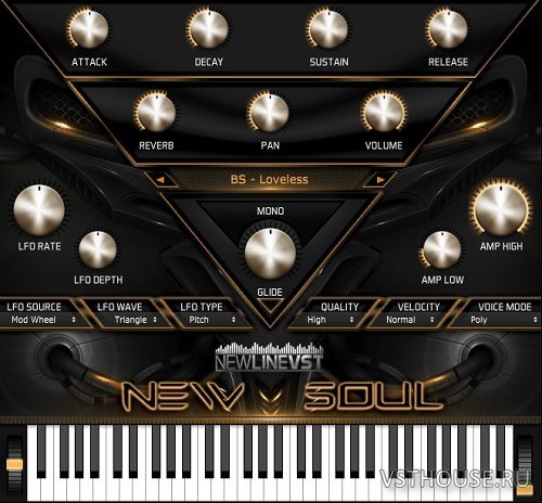 NewLineVST - New Soul plug-in 1.0 VSTi x86 x64