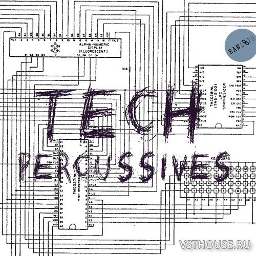 Raw Loops - Tech Percussives (WAV)