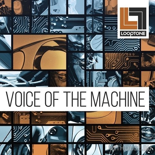 Looptone - Voice of the Machine (WAV)