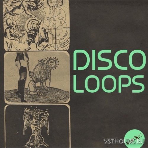 RAW LOOPS - Disco Loops (WAV)