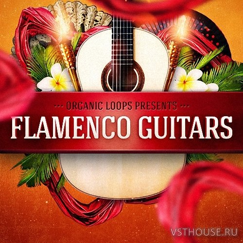 Organic Loops - Flamenco Guitars (WAV, RX2)