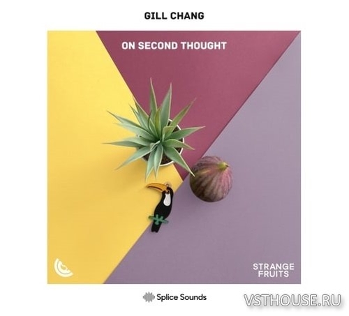 Splice Sounds - Gill Chang On Second Thought (WAV)