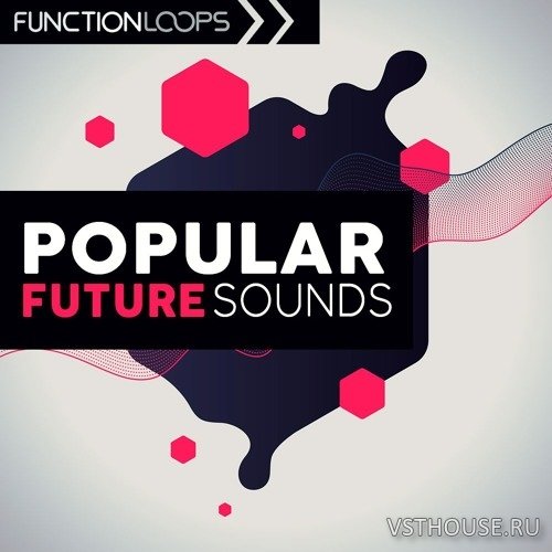 Function Loops - Popular Future Sounds