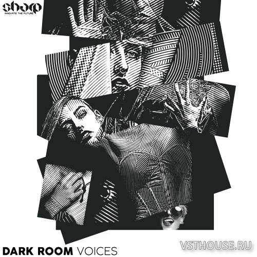 Function Loops - Dark Room Voices (WAV)