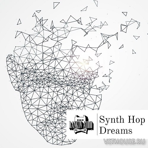 Rankin Audio - Synth Hop Dreams (WAV)