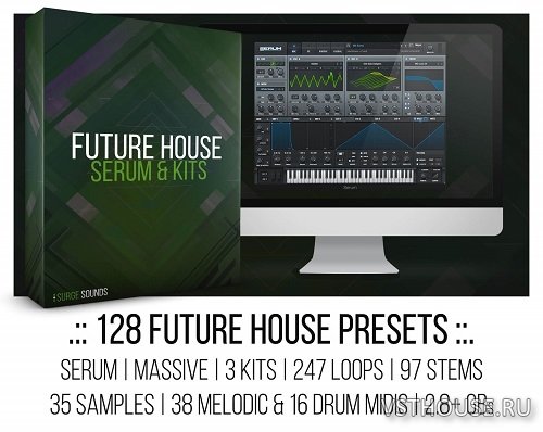 Surge Sounds - Future House (MIDI, WAV, SERUM, MASSIVE)