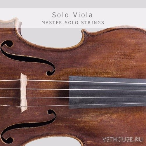 Auddict - Master Solo Strings VIOLA (KONTAKT) REPACK