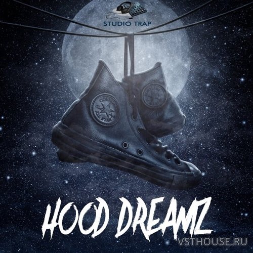 Big Citi Loops - Hood Dreamz (WAV)