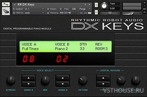 Rhythmic Robot - Audio DX Keys (KONTAKT)