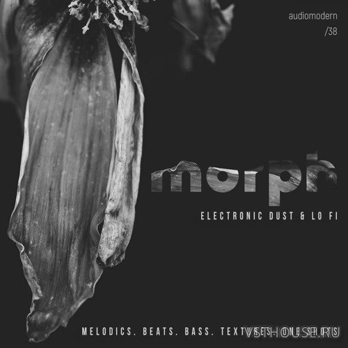 Audiomodern - Morph (WAV)