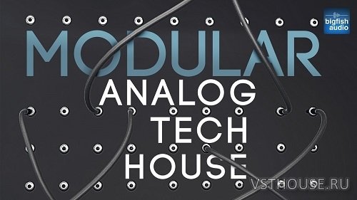 Big Fish Audio - Modular Analog Tech House (MULTIFORMAT)