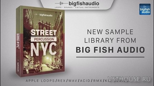Big Fish Audio - Street Percussion NYC (AIFF, REX2, WAV)