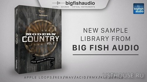 Big Fish Audio - Modern Country Vol.2 (AIFF, REX2, WAV)