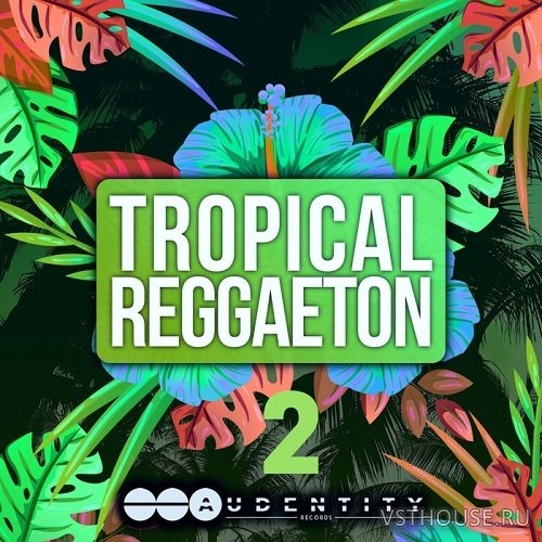 Audentity Records - Tropical Reggaeton 2