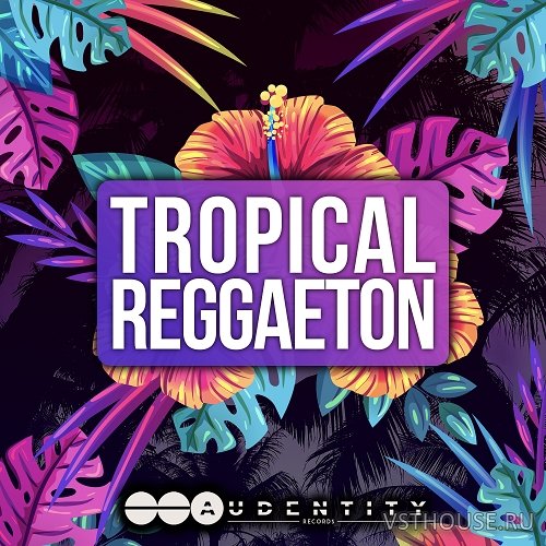 Audentity Records - Tropical Reggaeton