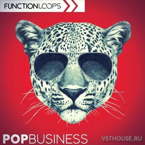 Function Loops - Pop Business (MIDI, SYNTH PRESET, WAV)