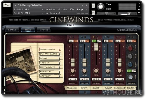 Cinesamples - CineWinds PRO v1.3 (KONTAKT)