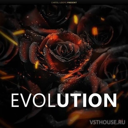 Cartel Loops - Black Roses Evolution (MIDI, WAV, FL STUDIO)