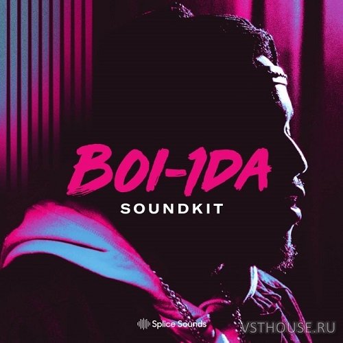 Splice Sounds - Boi-1da Soundkit Bare Sounds for Your Headtop (WAV)