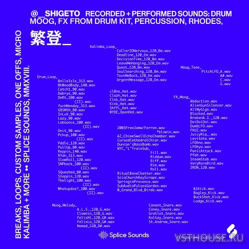 Splice Sounds - Shigeto Sample Pack (WAV)