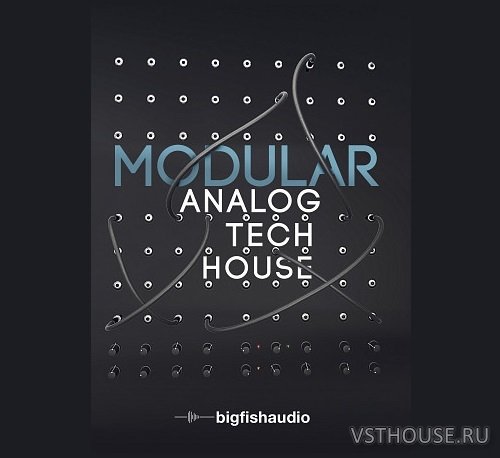 Big Fish Audio - Modular Analog Tech House (KONTAKT)