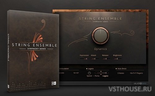 Native Instruments - Symphony Series String Ensemble v1.4 WIN Update